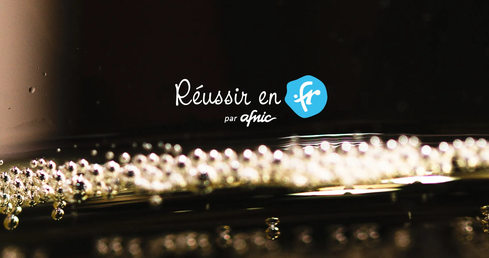 nom de domaine interent .fr DOMAINES INTERNET ABSOMOD bureau enregisterement agréé AFNIC